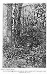 Chimney Stones at the Connecticut Brigade Camp