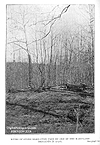 Maryland Brigade Bake-Oven Ruins