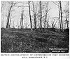 Remains of Fort Nonsense Earthworks