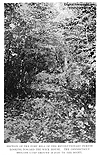 Connecticut Brigade Camp Ground on Fort Hill