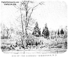Site of "The Hammock"